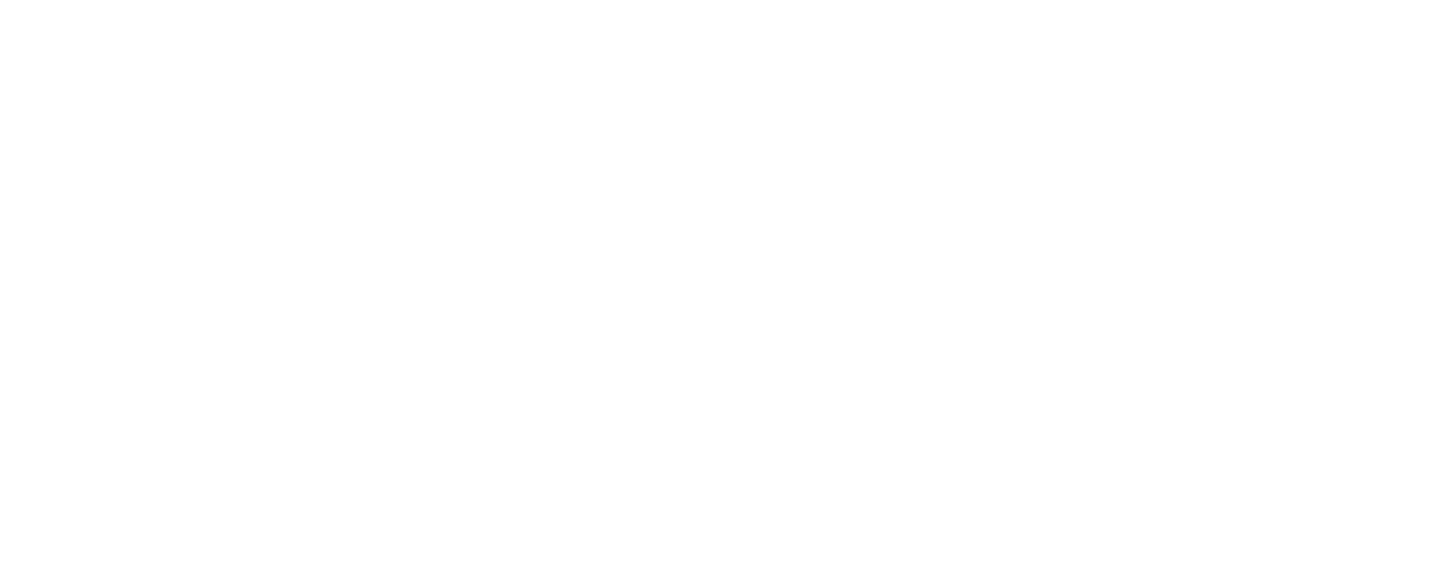 Traffic Management LLC